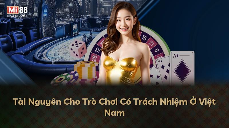 Tài Nguyên Cho Trò Chơi Có Trách Nhiệm Ở Việt Nam