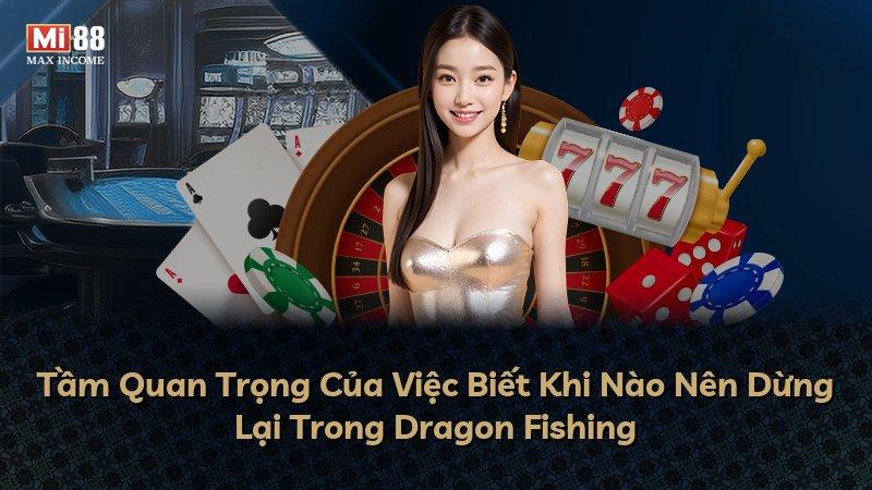 Tầm Quan Trọng Của Việc Biết Khi Nào Nên Dừng Lại Trong Dragon Fishing