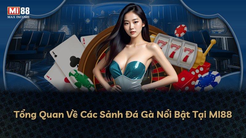 Tổng Quan Về Các Sảnh Đá Gà Nổi Bật Tại MI88